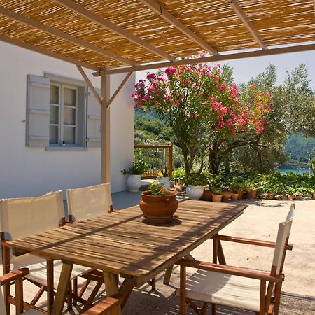 Skalopati Studios & Villa Panormos  外观 照片